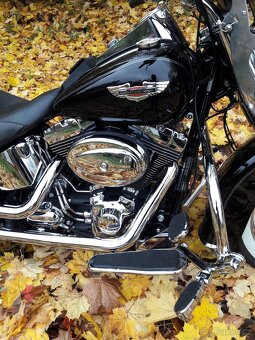 Harley-Davidson Softail Deluxe - 7