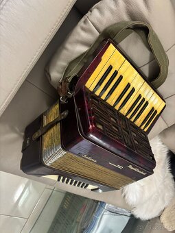 akordeon Bellona, Royal Standard - 7