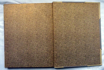 Němcová - Babička 2. vydání 1895 - 7