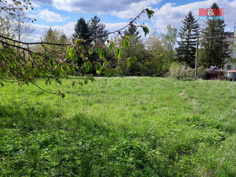 Prodej pozemku k bydlení, 3937 m², Razová - 7