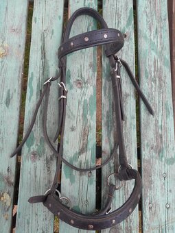 Korekční beránek a další cajky - 7