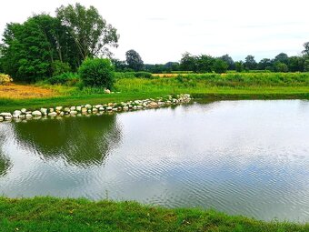 Pozemek v krásné přírodě pro mobilní objekt, zahrádku - 7