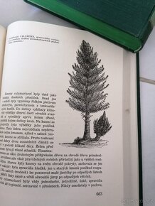 Augusta Josef - Divy prasvěta - 7