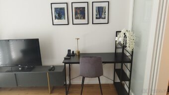 Pronajmu nový, zařízený byt 1kk 42m s terasou - Hagibor - 7