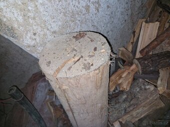 Lipa dřevo pro řezbaře - 7