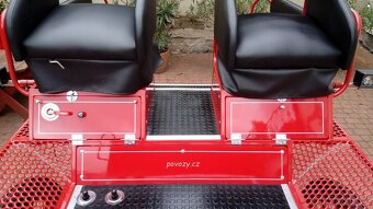 Bryčka, kočár, koňský povoz - 7