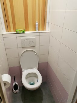 Světlý byt po 2+1 Hlavní třída, Poruba - 7