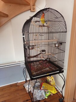 Agapornis s klecí - 7