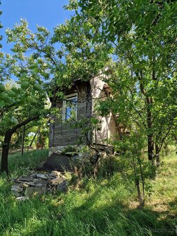 Zahrada Hozloky 711 m2 - 7