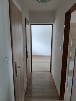 pronajmu byt 2+1 - 7