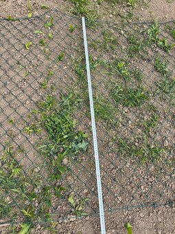 Pletivo výška 128cm + výška 125cm - 7