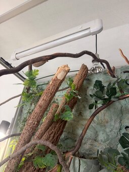 Terárium 120x86cm - 7