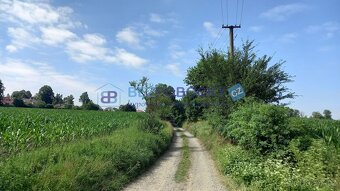 Prodej pozemků o celkové výměře 50.358 m2, Termesivy - Havlí - 7