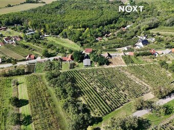 Prodej ostatní Vinný sklep, 80㎡ - 7