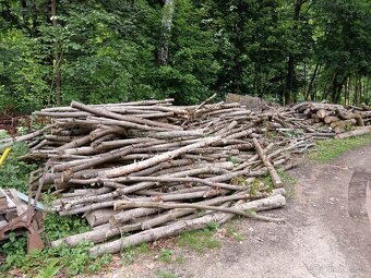 Dřevo na topení - 7