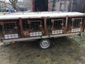 Přepravní vozík na psy - 7