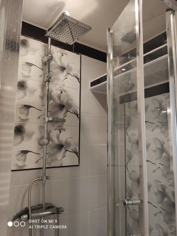 Pronájem bytu 2kk - 7