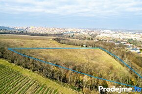 Prodej zemědělské půdy, 7 123 m2 - Nový Šaldorf-Sedlešovice - 7