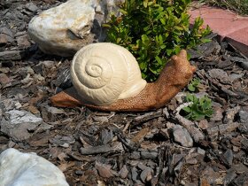 Dekorace-veverka, pejsek, hříbek, žába, sova,šnek - 7