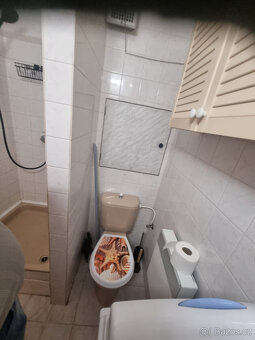 Pronájem částečně zařízeneho bytu 1+kk, 20m2, M.Budějovice - 7