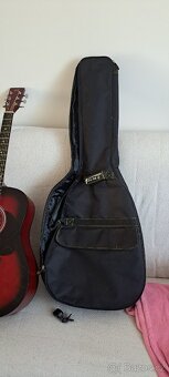 Akustická kytara VGS Pure series D-1 - 7