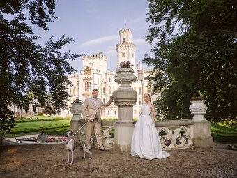 Nabídka krytí - whippet samec s PP, chovný vipet - 7