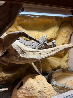 Prodám terárium - 7