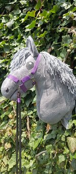 Hobby horse - 7