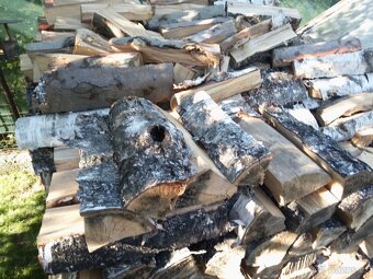 Dřevo na území - 7