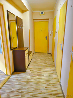 Jaroměř - podnájem bytu 3+1 s balkonem - 7