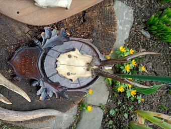 Staré Poškozené Trofeje - 7