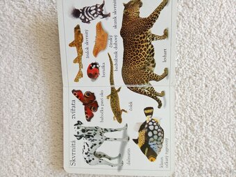 Prodám dětské knížky a leporela - 7