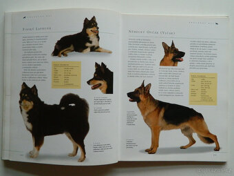 Pes a péče o něj - 7