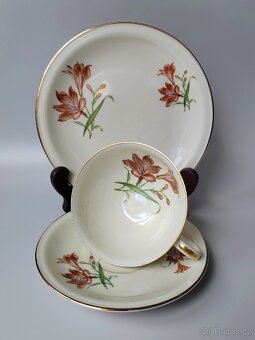 Sběratelský porcelánový čajový set/sada Hutschenreuther - 7
