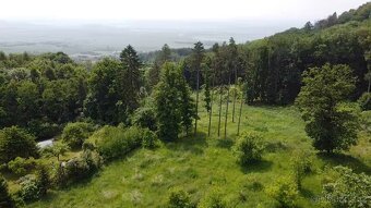 Prodej velkého pozemku 3670m2 uprostřed lesa - 7