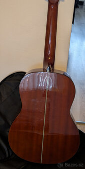 Kytara zn. Washburn C40 - 7