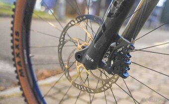 2022 STEREO 150 C:62, RACE 29 - 7