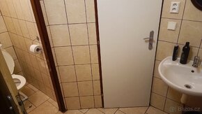 Pronájem skladu , nebytových prostorů,místnosti. - 7