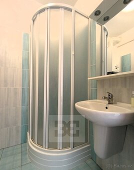 Pronájem byty 1+kk, 33 m2 - České Budějovice 3, ev.č. N07932 - 7