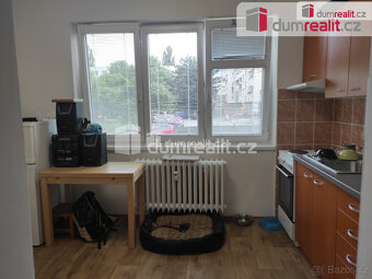 Pronájem bytu 1 + kk, 16 m2, zvýšené přízemí, velký sklep - 7