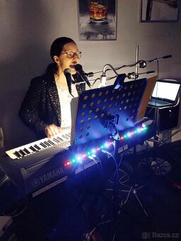 Živá hudba/Dj - Nikola Hamplová - 7