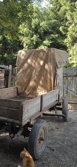 Koňský vůz - 7