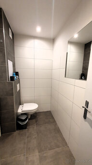 Pronájem vybaveného bytu 1+kk - 7