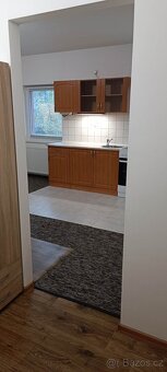 Pronájem bytu 1+kk 34m3 v Hořovicích - 7