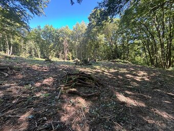 Prodám stavební pozemek v k.ú. Zlín - 7