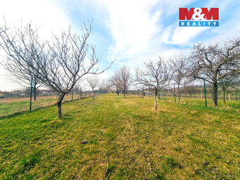 Prodej ovocného sadu, 4096 m², Starý Poddvorov - 7