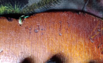 Potlach T.O. Rovinka. Tramping. - 7