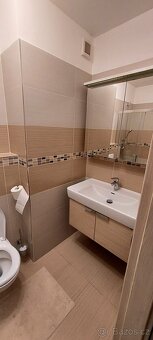 Pronájem bytu 2+1 - 53 m2 - 7