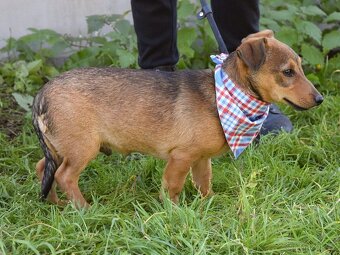 Jeremy hledá domov - 7