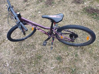 Amulet tomcat 24 - 7